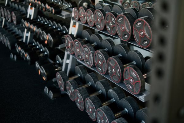 Rogue R-3 vs Titan T-3: Which Rack?